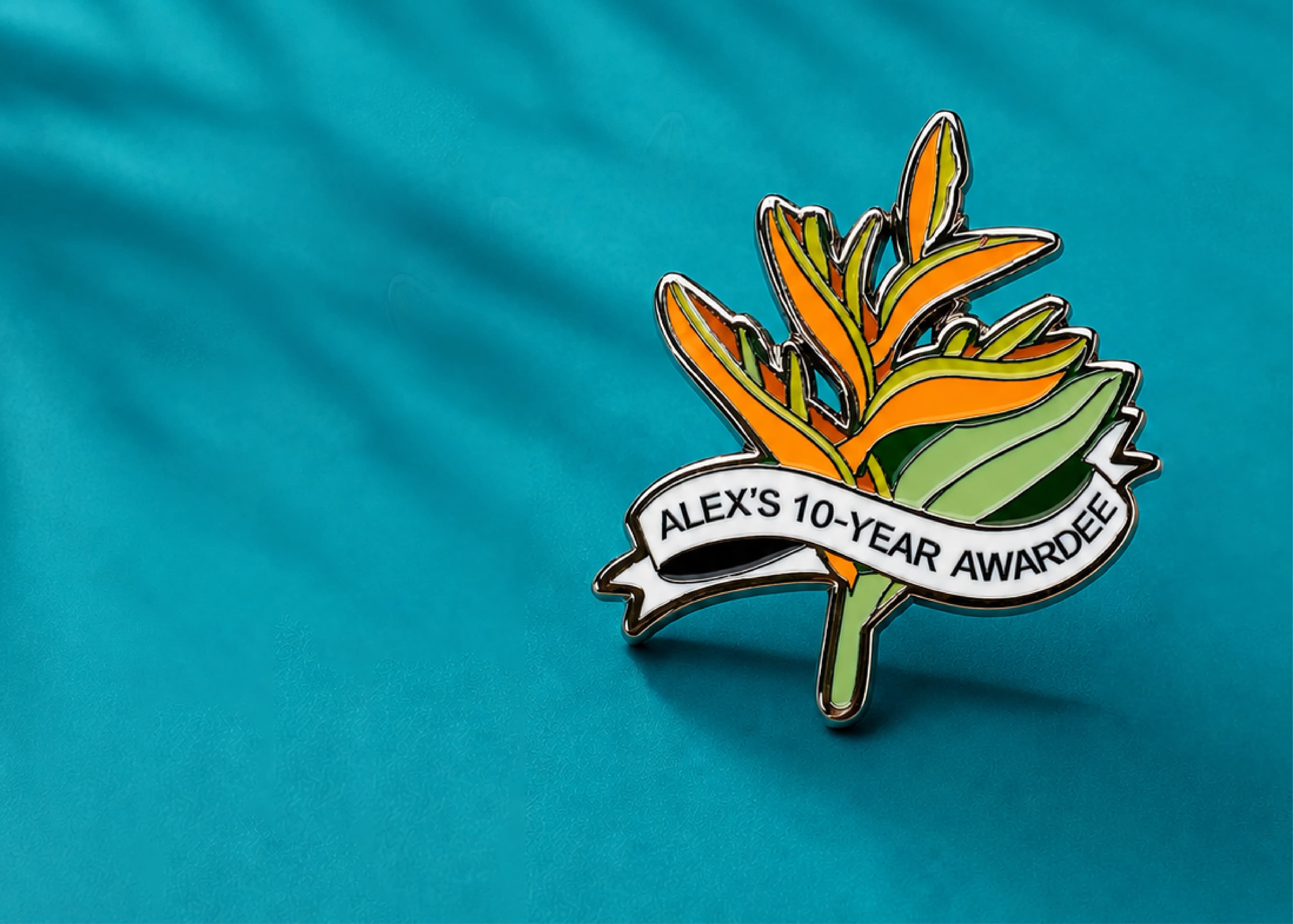 Custom hard enamel pins